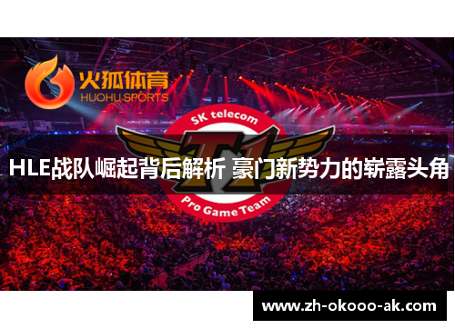 HLE战队崛起背后解析 豪门新势力的崭露头角